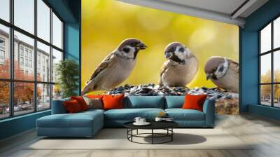 Group of sparrows sitting on bird feeder Wall mural