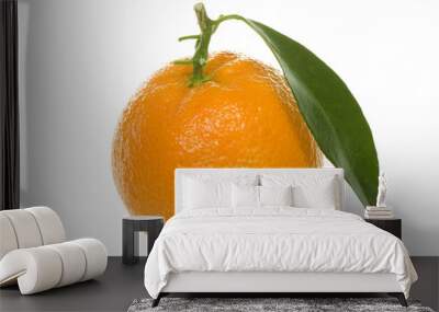 orange with green leaf Wall mural