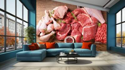 various types of fresh meat: pork, beef, turkey and chicken,  top view Wall mural