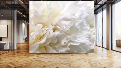 Close up white Carnations petals white flower and reflections Wall mural