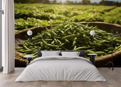 Green beans off coffee drying in the sun, photo shot --ar 16:9 --v 5.2 Job ID: 549ce8d0-8a9f-426e-af69-381637d69476 Wall mural