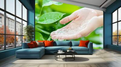 closeup water flow to hand of women for nature concept on the garden background Wall mural