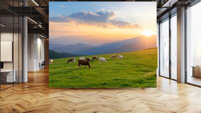 Cows grazing on hill at sunset Wall mural