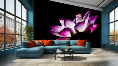 Pink lotus flower. Lotus flower isolated on black background. Wall mural