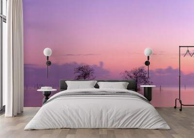 sunrise over the river Wall mural