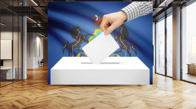 ballot box with national flag on background - pennsylvania Wall mural