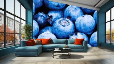 Bunch of blueberries - close up studio shot Wall mural