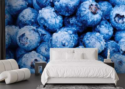 Bunch of fresh blueberries - close up studio shot Wall mural