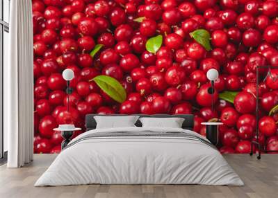 Fresh organic cranberries with green leaf over it - close up shot Wall mural