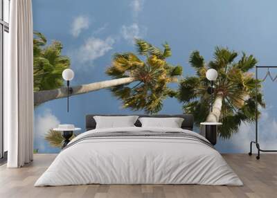 resort, guy, waves, Wall mural