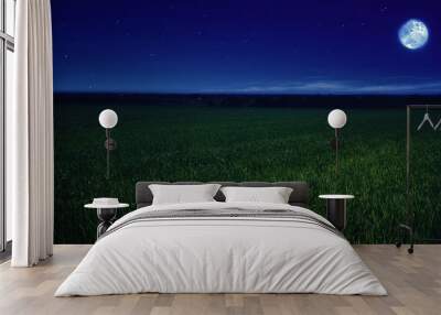 moonlit night in wheat field Wall mural