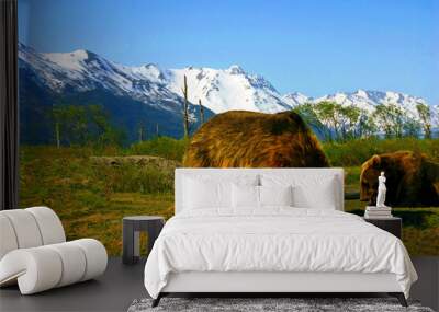 Alaskan Brown bears at the 200 acre Alaska Wildlife Conservation Center near Portage on the Anchorage Seward Highway with the snow covered Chugach Mountains seen in the background. Wall mural