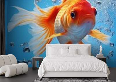 Illustration of a goldfish swimming in water with bubbles Wall mural