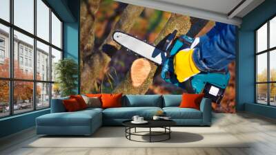 A gardener pruns trees with a lightweight cordless chain saw. Work in the autumn garden. Wall mural