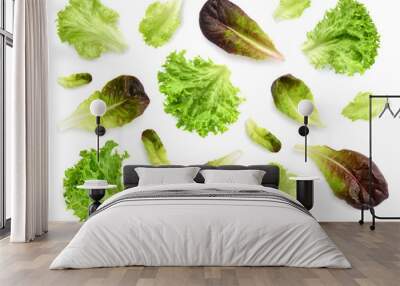 Fresh lettuce leaves isolated on white background. Pattern with salad leaves. Wall mural