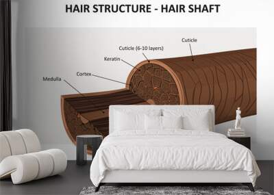 Hair structure - vector illustration Wall mural