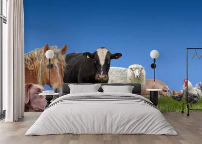 Farm animals livestock collection Wall mural