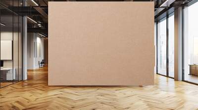 brown kraft paper texture background  Wall mural