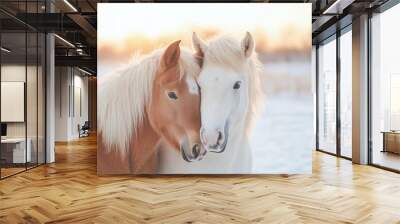 Two ponies standing in the snow outside the village barn in winter, capturing the festive mood on a cold day. Winter pasture for horses.  Christmas and New Year Wall mural