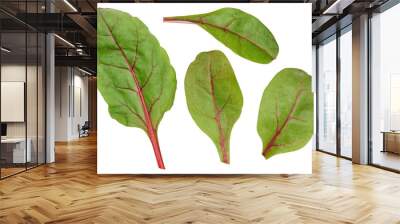 Beet leaves for salad on a white isolated background Wall mural