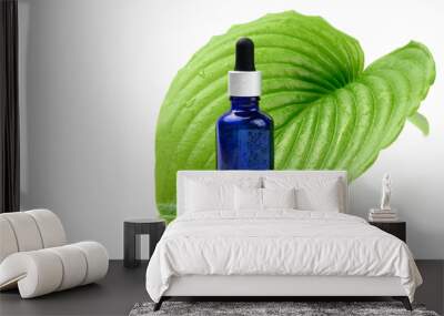 blue glass transparent bottle with a pipette on the background of a green leaf. Natural cosmetics concept Wall mural