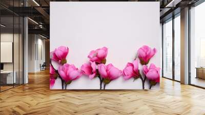 Branch with pink magnolia flowers on a white background, top view Wall mural