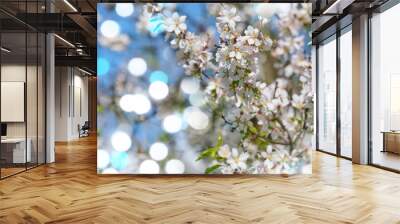 Branch with white almond flowers on blue sky background, sunny spring day. Wall mural