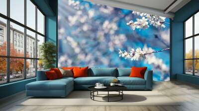 branch with white almond flowers on blue sky background, sunny spring day Wall mural