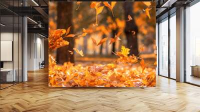 falling dry yellow maple leaves on an autumn Wall mural