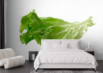 green lettuce leaf isolated on white background Wall mural