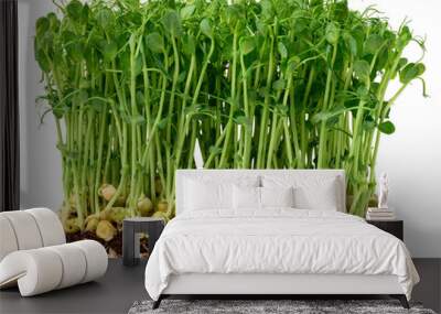 Sprouted pea seeds on a white background, microgreens for salad, detox Wall mural