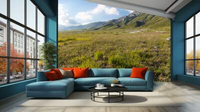 Campo Imperatore plateau view in the mountains of the Gran Sasso National Park under a blue Sky with clouds Wall mural