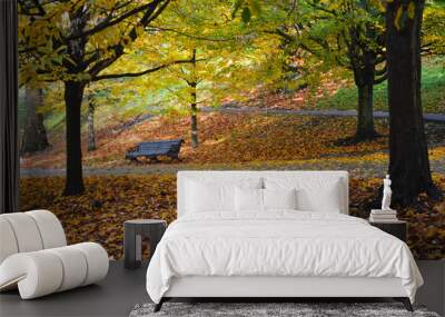 empty bench in a park surrounded by fallen leaves of yellow and brown Wall mural