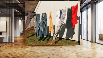 Clothesline Wall mural