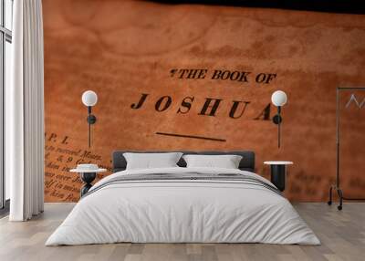 Joshua Wall mural