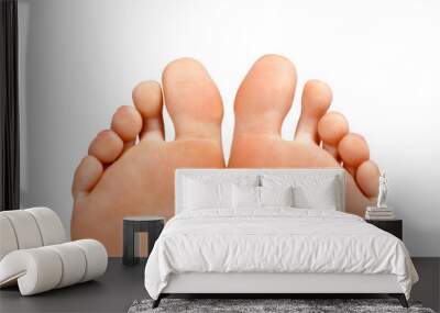 Closeup shot of female feet, isolated on white background Wall mural