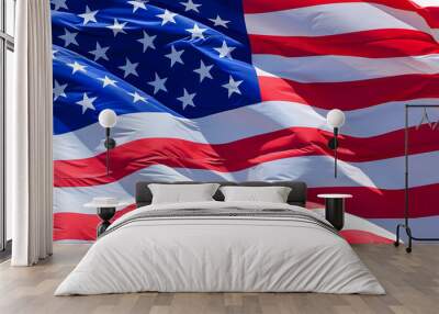 flag of the USA Wall mural