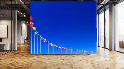 flags against blue sky, copyspace Wall mural