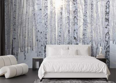 Snowcovered birch forest and rays of the sun Wall mural