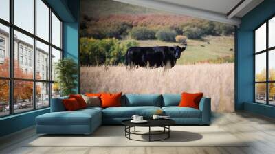 cows in the field Wall mural