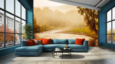 Foggy sunrise river Wall mural