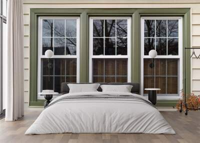 New white with green trim vinyl replacement windows. Horizontal. Wall mural