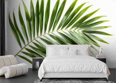 Green leaves of palm tree isolated on white background with cut path Wall mural