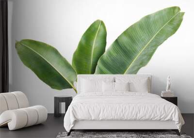 Green Banana Leaves: Isolated on Transparent Background Wall mural