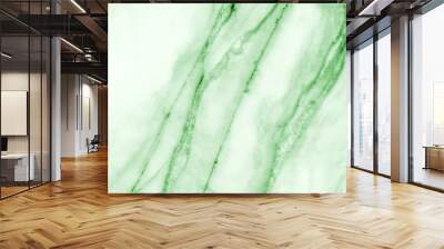 Green marble pattern texture abstract background / texture surface of marble stone from nature / can be used for background or wallpaper / Closeup surface marble stone wall texture background. Wall mural