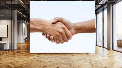 shake hands Wall mural