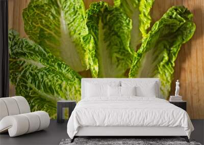 green salad lettuce leafs ready for meal cooking Wall mural