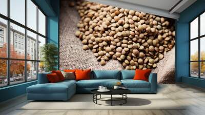 Raw healthy brown lentil Wall mural