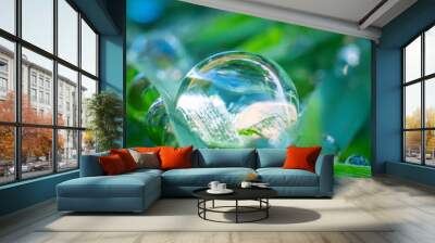 Water drop on blade of grass Wall mural