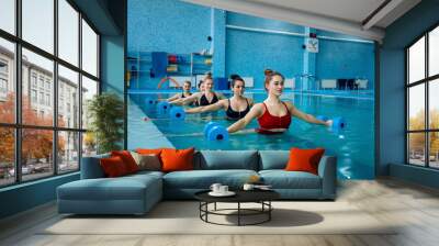 Aqua aerobics, exercise with dumbbells in the pool Wall mural